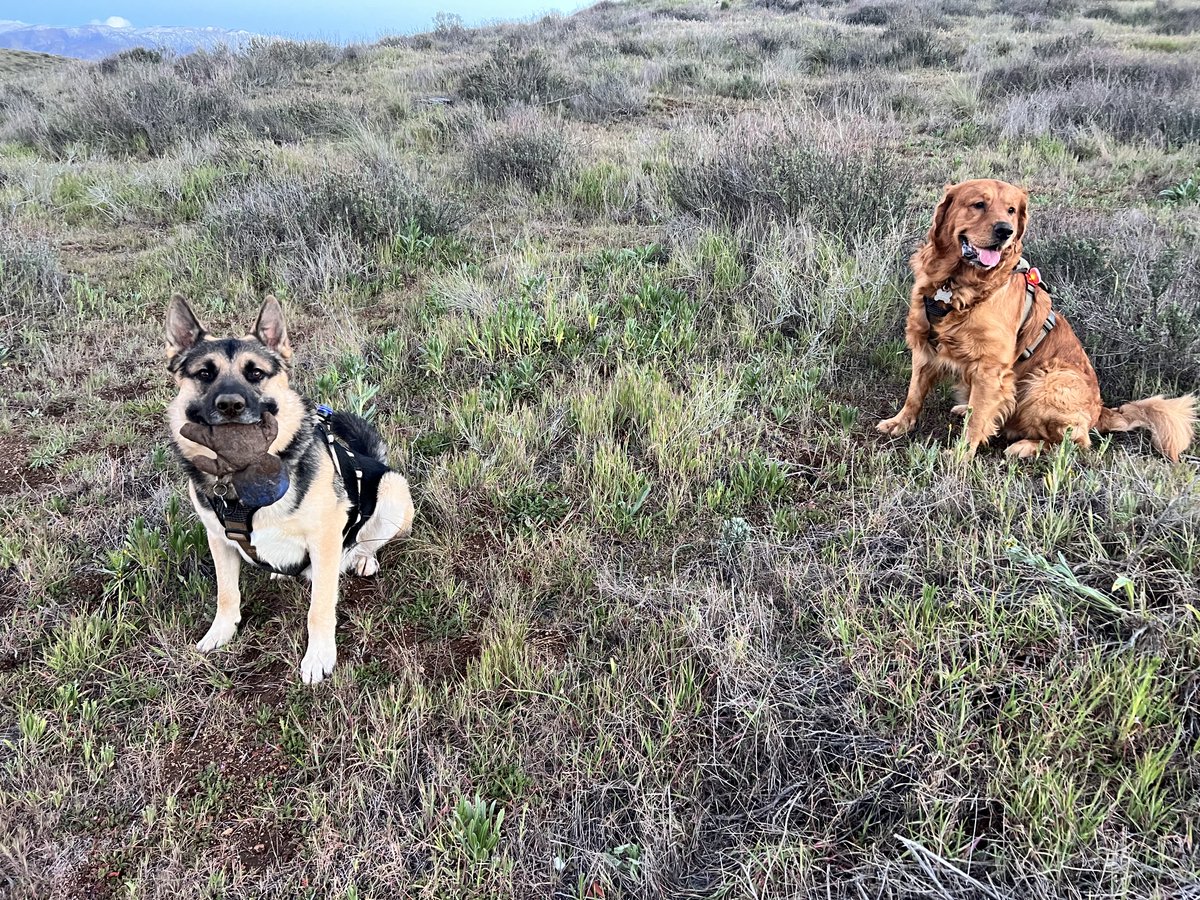 MagdaleneStMichaels™ tweet media