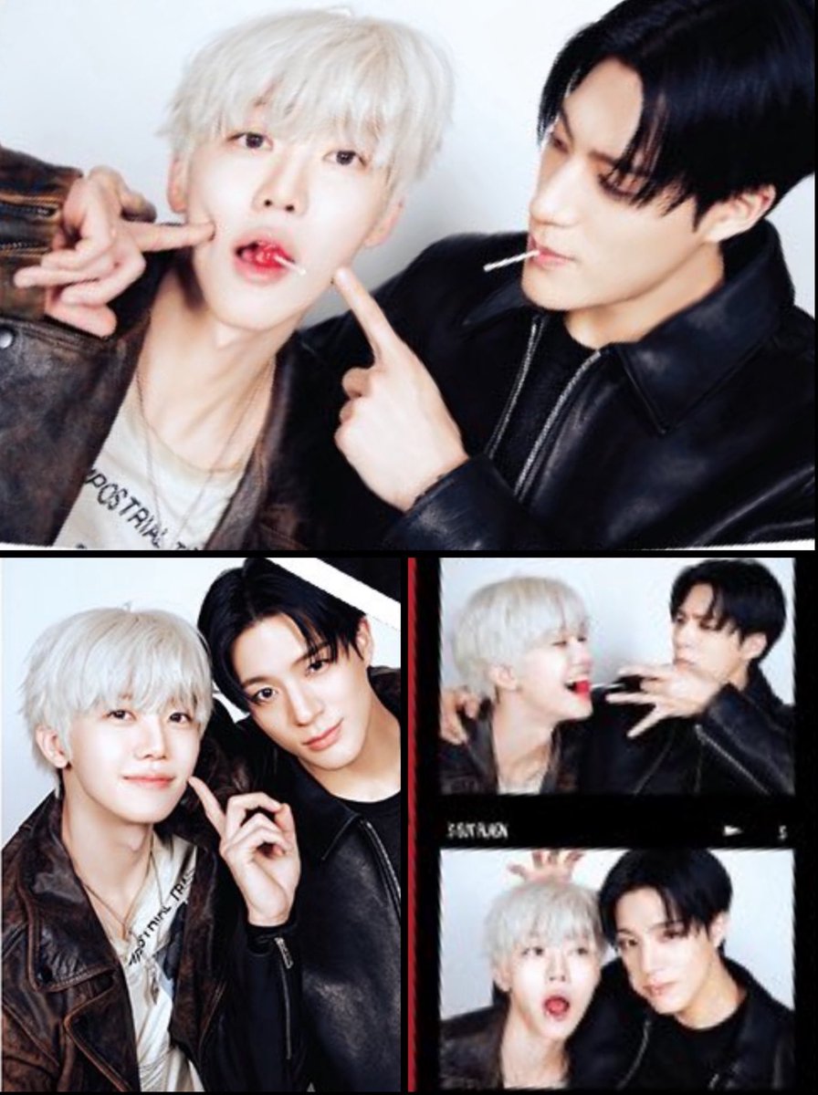 แล้วคนโสดจะอยู่ยังไง