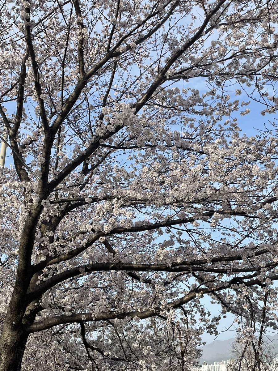 함쓰랑 tweet media