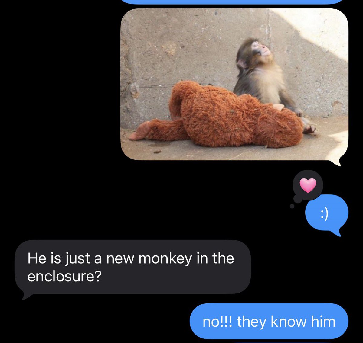 explaining punch monkey to the guy who doesn’t like me back
