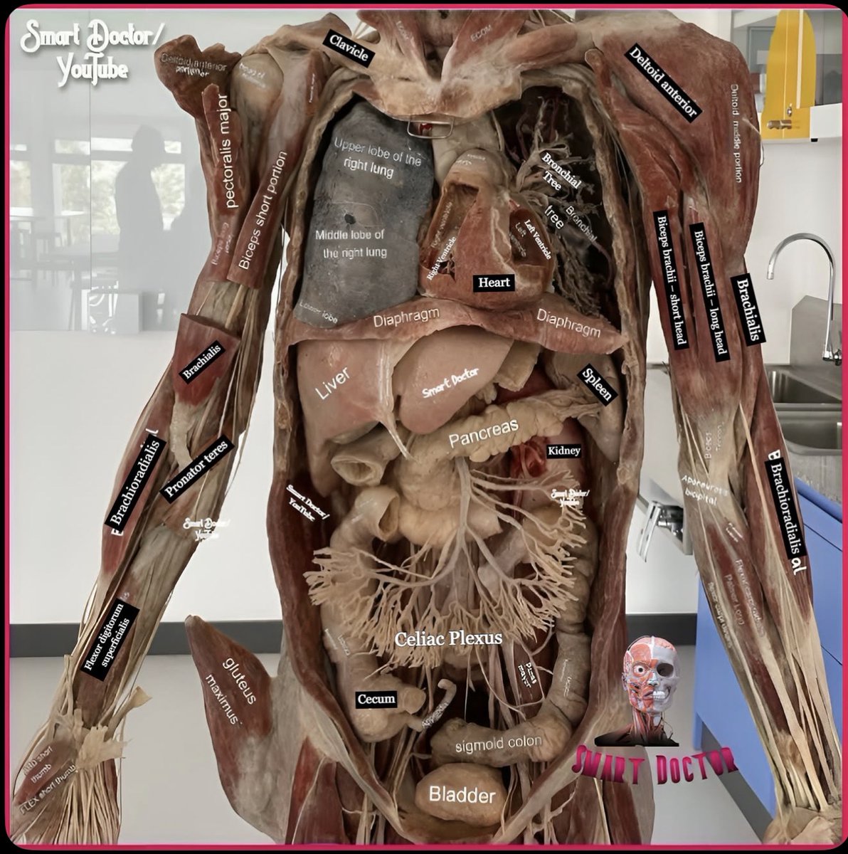 Keith Siau tweet media