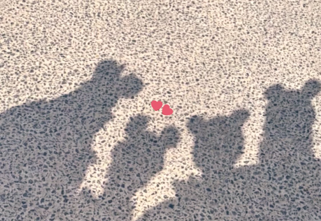 ふぉいさん✨✨✨
 🐾お坊ちゃま🐾
ターンさんの旦那様
ターンさん✨✨✨

♡が🐾お坊ちゃま🐾でしょうか…🤭

ふぉいさん✨✨✨貴重な画像の共有ありがとうございます😊

ⓒjoyfoyy(一部切取りしています)