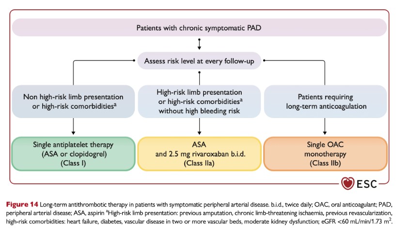 Takatsuki_GIM's tweet image. 2024 ESC PADガイドライン📘
有症状慢性PADの長期抗血栓療法を整理。
高リスク例では抗血小板薬＋低用量リバーロキサバン併用も推奨（Class IIa）。
ガイドラインを一緒に“使える知識”にしませんか？ 
#総合内科 #PAD
