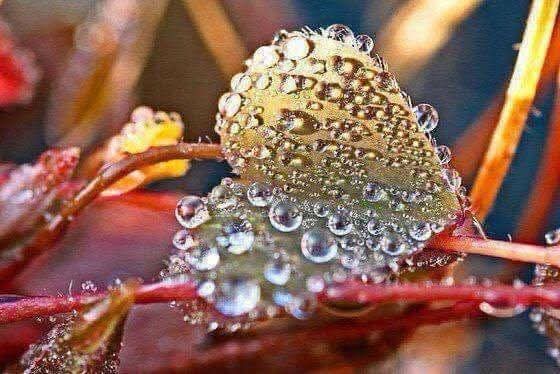 💕Les battements de nos cœurs,
ce n'est rien d'autre que les murmures
de tous ceux qui habitent dedans...
Quand il n' y a plus personne, ils s’arrêtent de battre.💕

Ondine Khayat