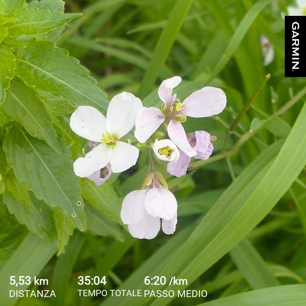 Lezione che ho imparato con la corsa: per andare avanti bisogna avere voglia di ricominciare.
Ogni volta che sarà necessario.
#potràServire
#unTemaAlGiorno