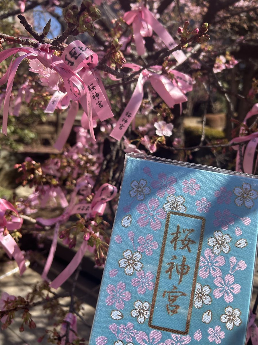 KANMITOKYO's tweet photo. 推し色の御朱印帳を手に入れた🩵🌸 https://t.co/TIB6mHfCgs