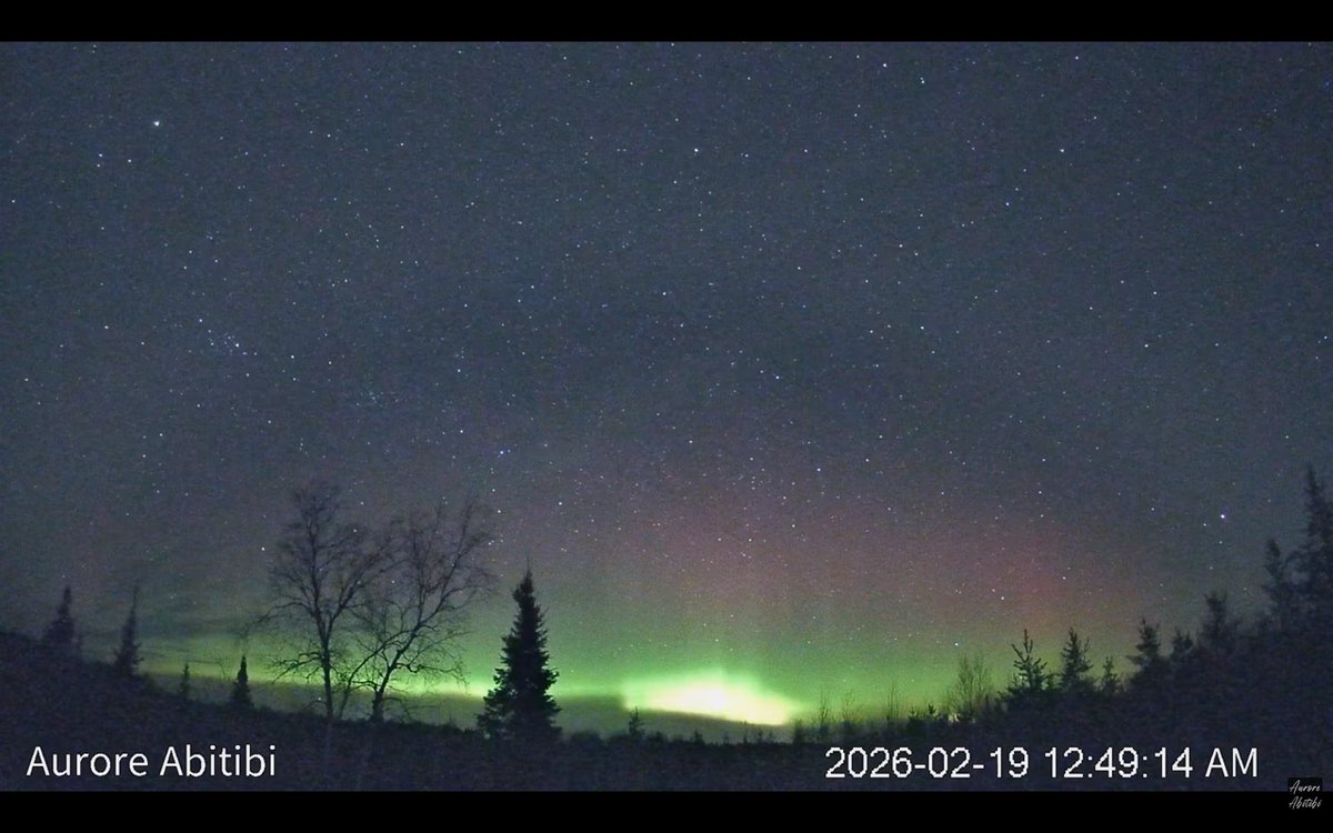 今日、2月19日 #Canada #Quebec 州 #Abitibi(北緯49度)のライブカメラ