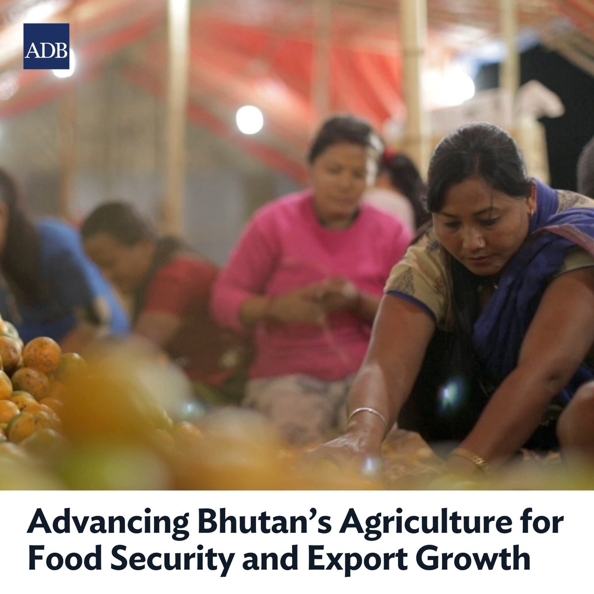 Development Asia tweet media