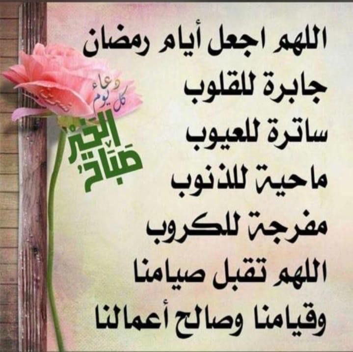 othman2211's tweet photo. https://t.co/K6VZzBvw95