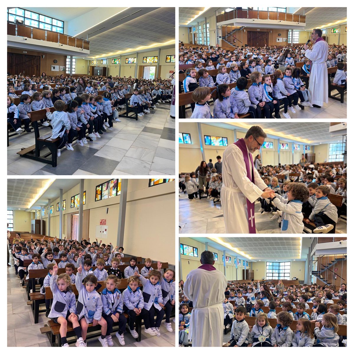 ColePortaceli tweet media