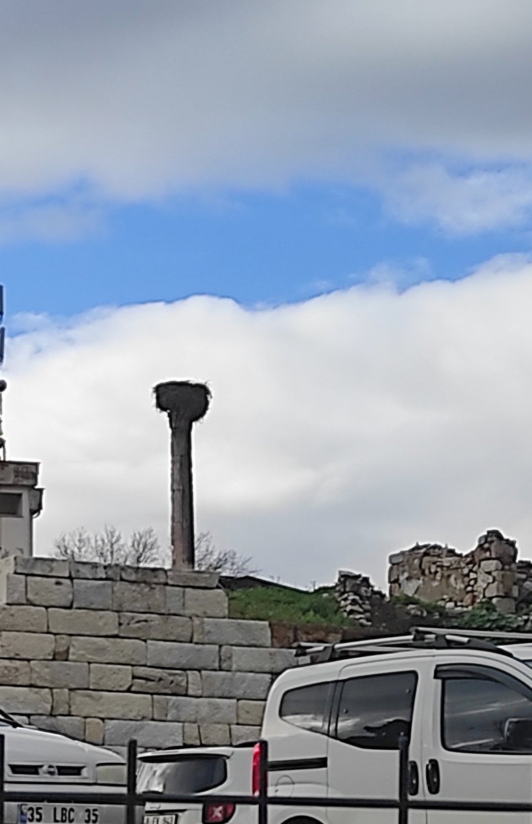 Günaydın iyi sabahlar 🙋‍♀️ Şubat 19 olduysa ufaktan bazı kontrollere başlarım ben😉☘️🕊️ seviyorum gelecek olan bahara ve umuda yönelik duyguyu 🥰☘️💐🕊️🌞