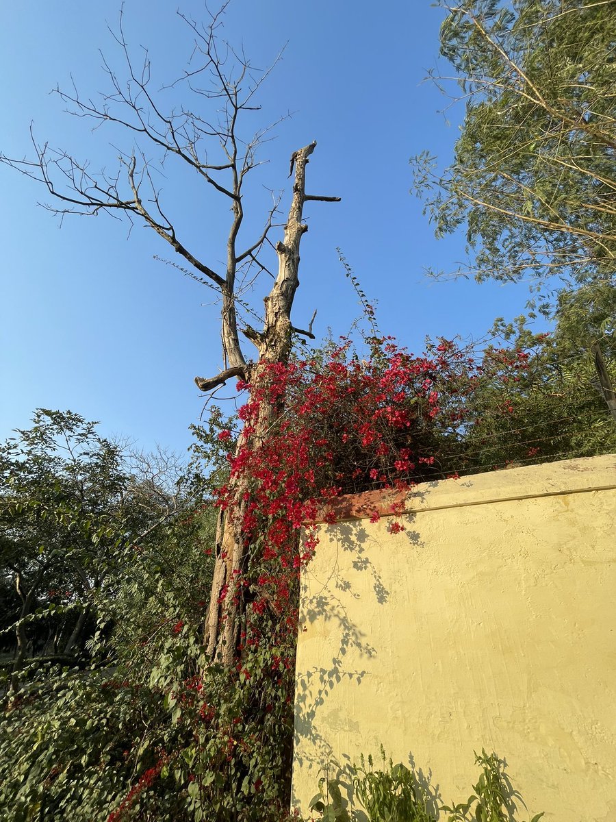 Divyansh (@divyo00) on Twitter photo 