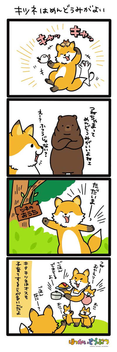 hokkaidoubutsu's tweet photo. キタキツネの「つね」のパパは、家事も育児もなんでもござれ！なスパダリパパらしいよ😊羨ましい～～～

つねの将来が楽しみだね💓

#ほっかいどうぶつ https://t.co/mtx2tfa9JH