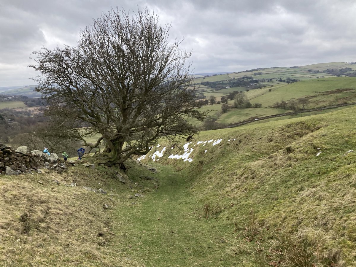 doristhehat's tweet image. Good morning everyone wishing you a lovely day 😀yesterday’s wonderful walking on the hills around Lyme Park 💚