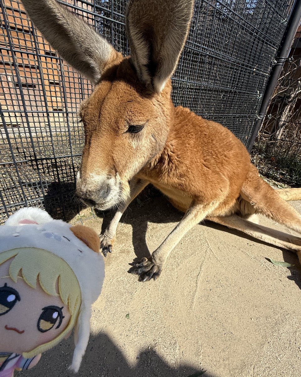 ゆぐう tweet media