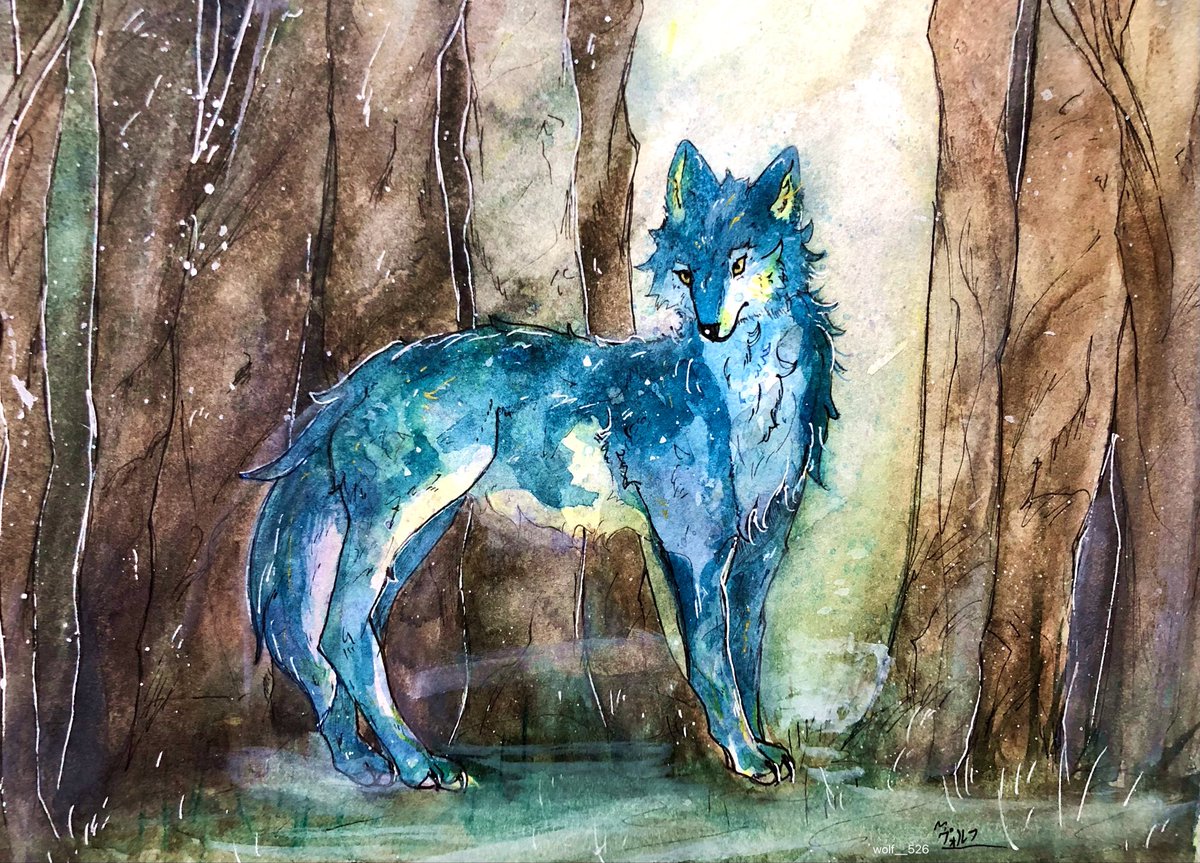 私はこういう絵を描いています 水彩でオオカミを描いています🐺🎨