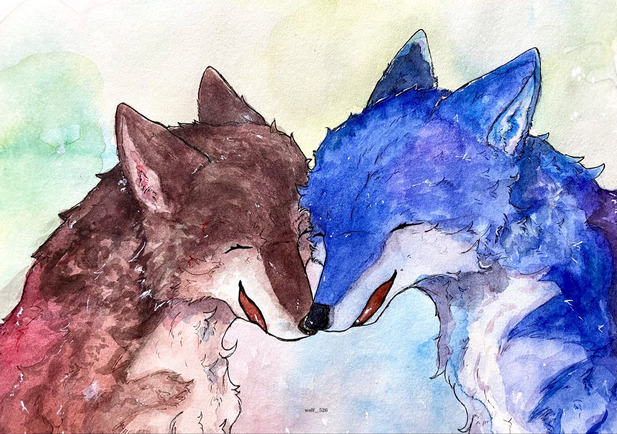 私はこういう絵を描いています 水彩でオオカミを描いています🐺🎨