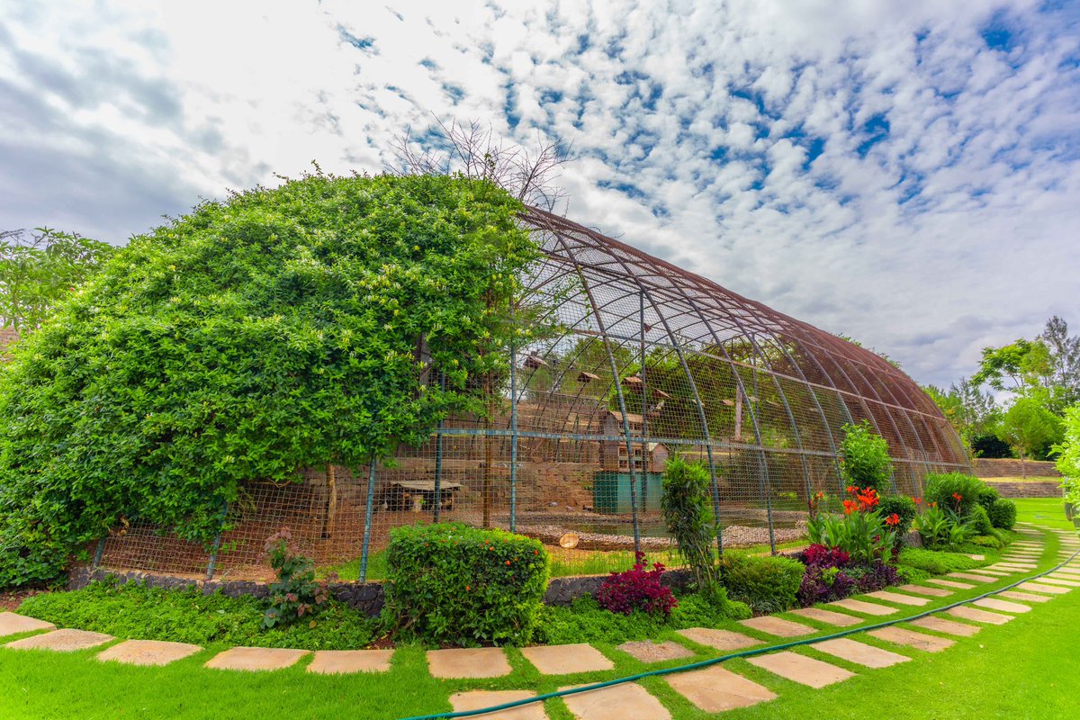 Tulivu Safaris tweet media