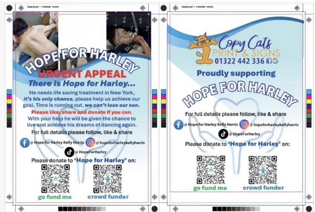 ground_hopper_hoppy🤜🤛 tweet media