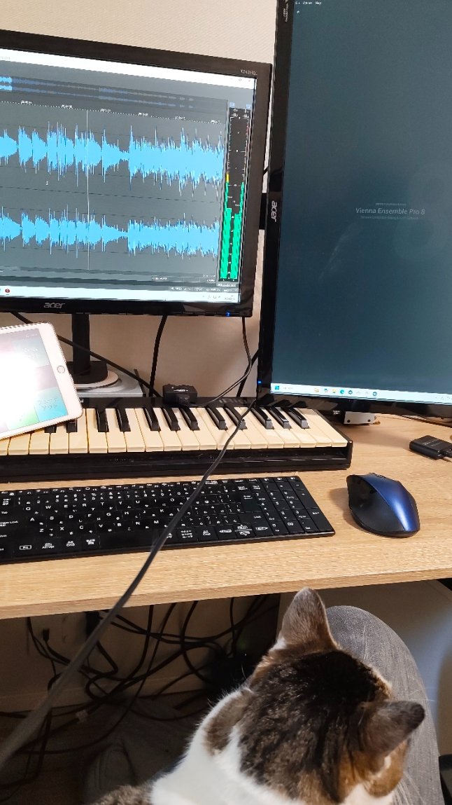 Saki Momiyama　-きなくるみ- 春M3 N-10b tweet media