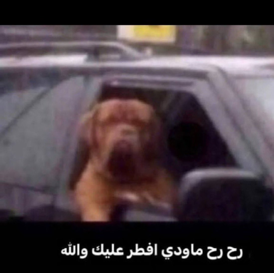 بندر 🇸🇦 tweet media