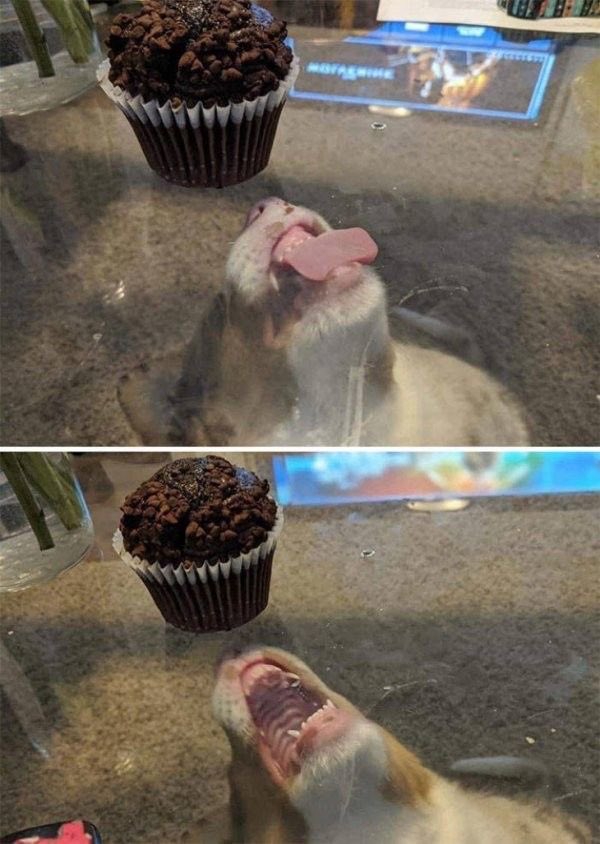 Io al terzo giorno di dieta