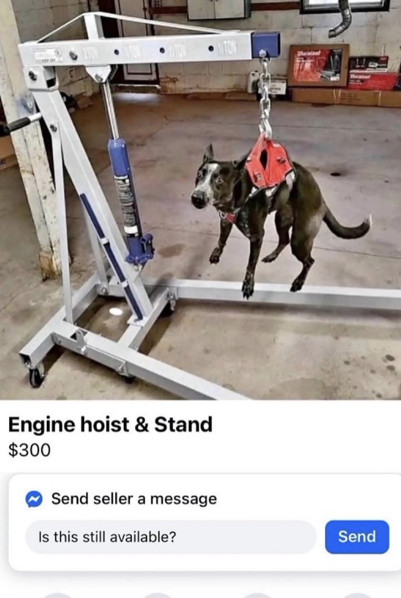 Respectful Memes (@respectfulmemes) on Twitter photo 