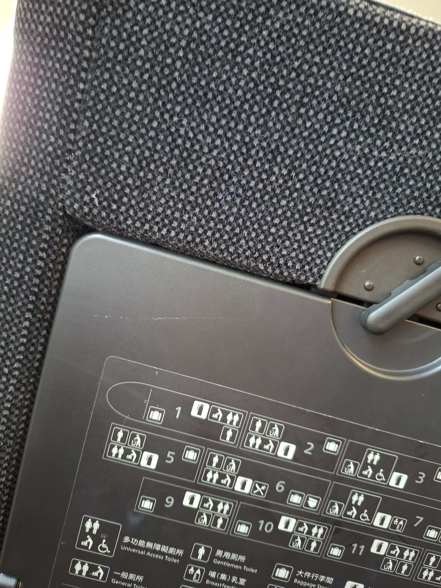 出門啦～陽光正好🌞