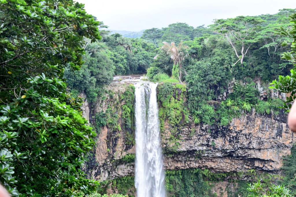 KarulkarSameer's tweet image. Let's see your Waterfalls... 
"Every drop born in the high country, rushing toward whatever comes next."
🇲🇺
#theme_pic_world_waterfalls