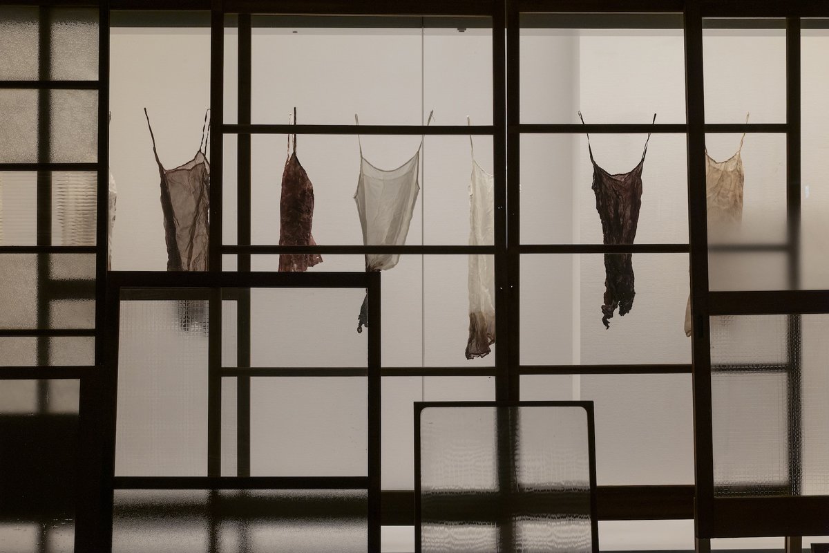 開催中「向井山朋子 Act of Fire」

廊下のようなギャラリー３は、壁面と一体化した展示ケースを、家の窓や間仕切りの建具に見立てた記憶の通路です。曇りガラス越しに見え隠れするのは、向井山さんが自身の血で染めたドレス。女性の身体・愛・喪失をめぐる無言の物語が続きます。