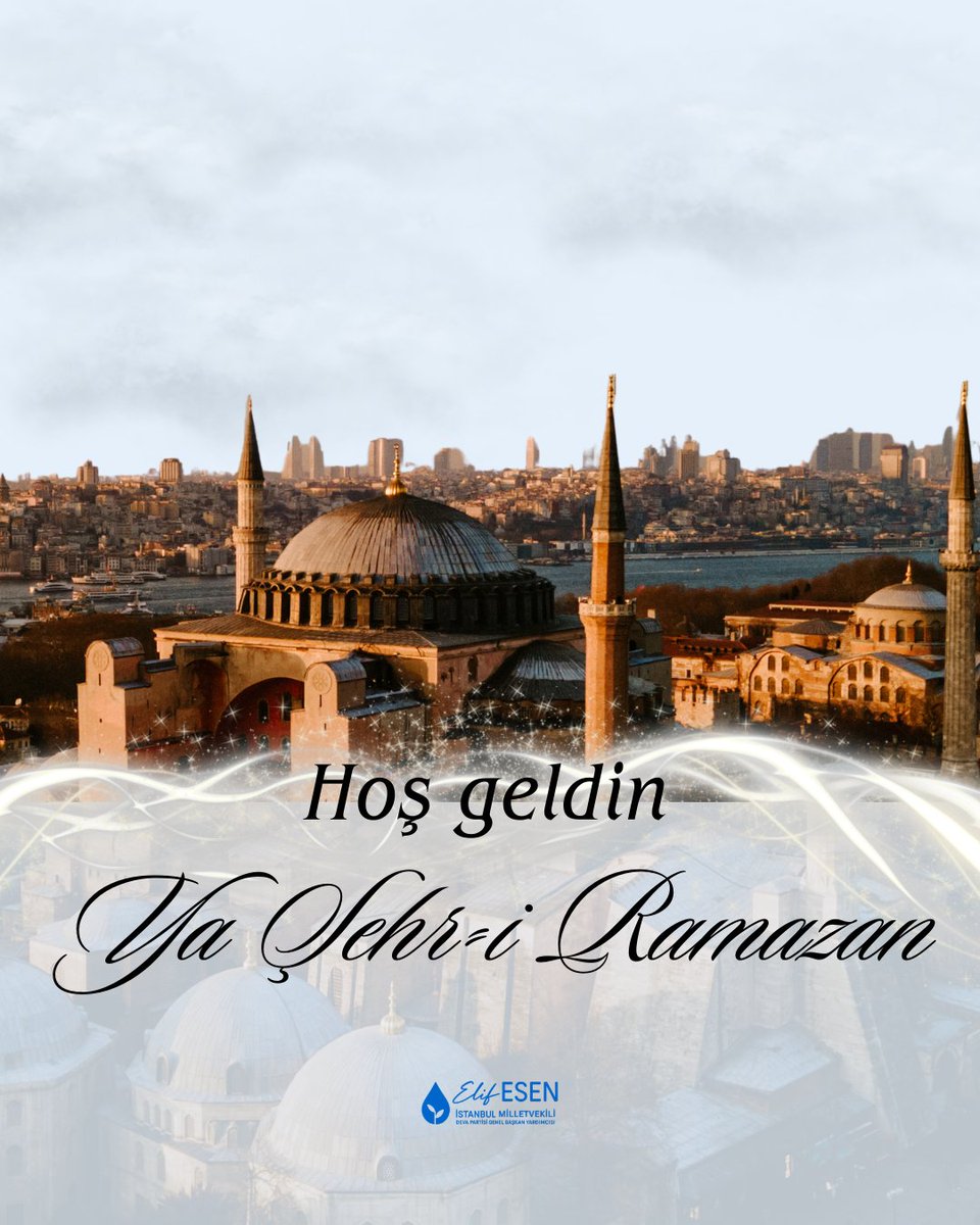 Elif Esen tweet media