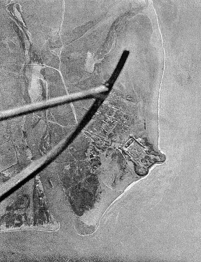 Little Gully Publishing tweet media