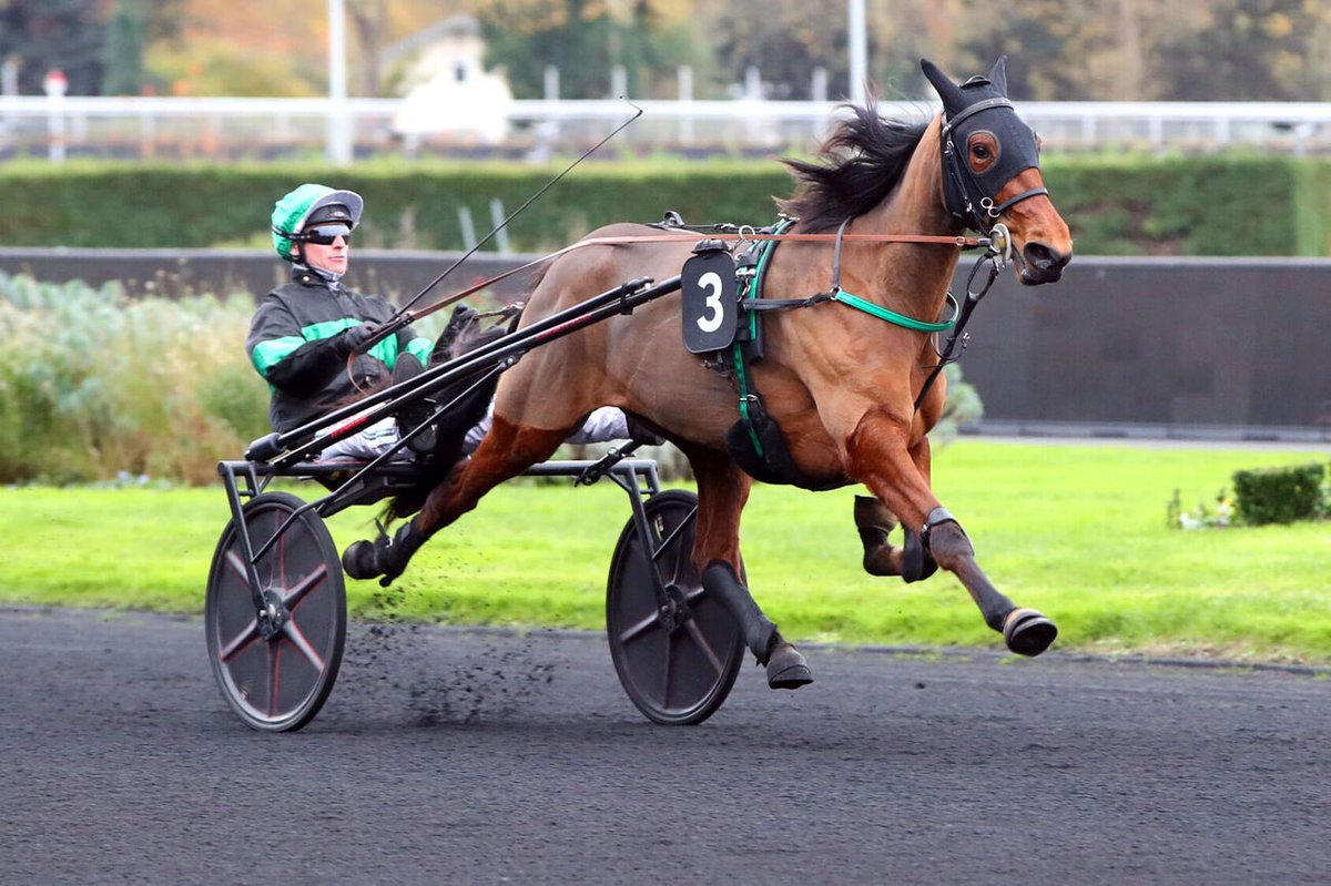 📍 Direction Vincennes ce jeudi

🟠 Marion d’Atout (808) et Midnight Express (812) sont pas mal au travail. Avec le bon parcours, elles peuvent prendre une place parmi les cinq premières.