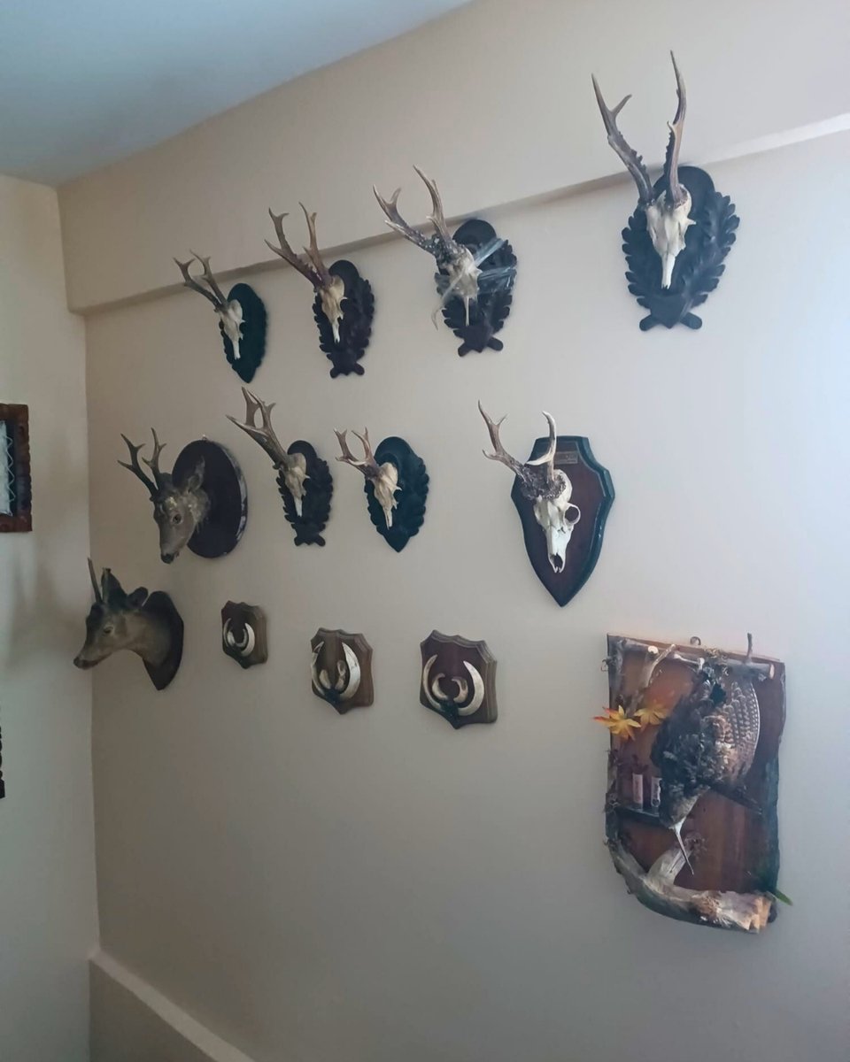 Milli Parklar tweet media