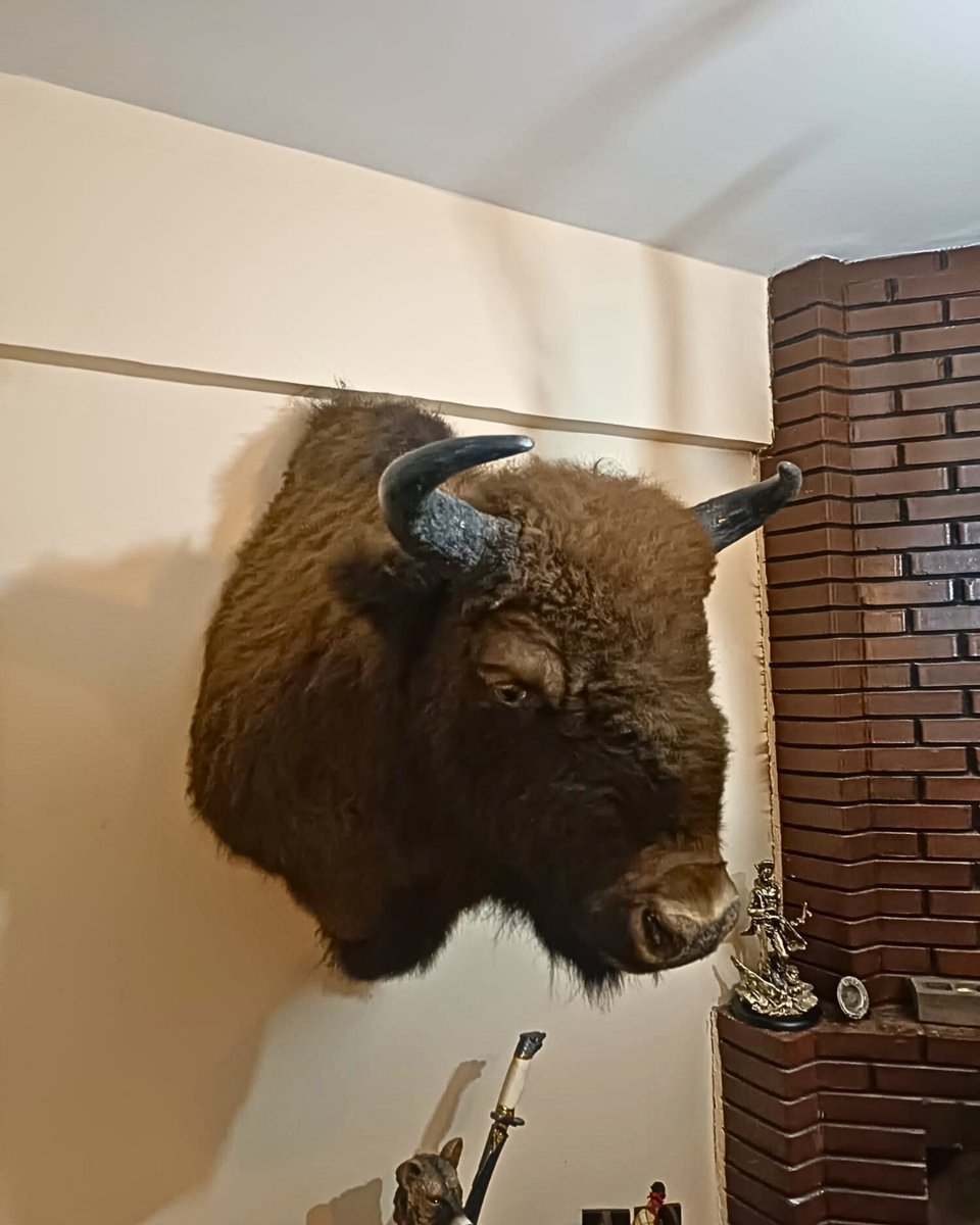 Milli Parklar tweet media