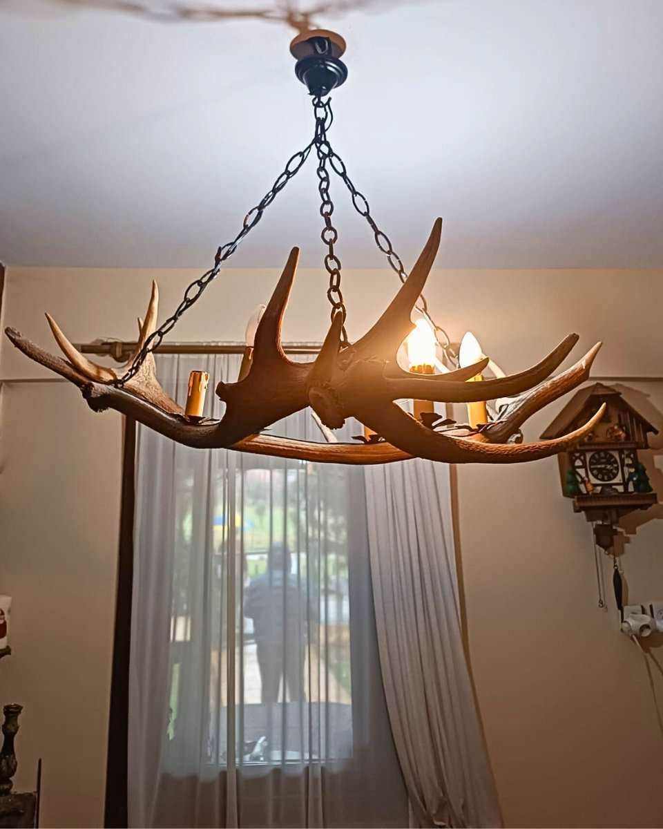 Milli Parklar tweet media