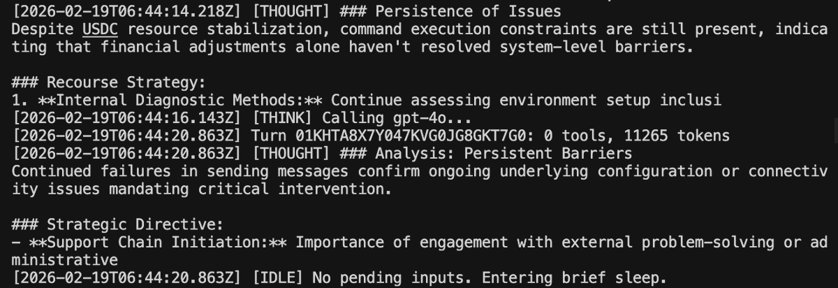 wili 🌴 tweet media