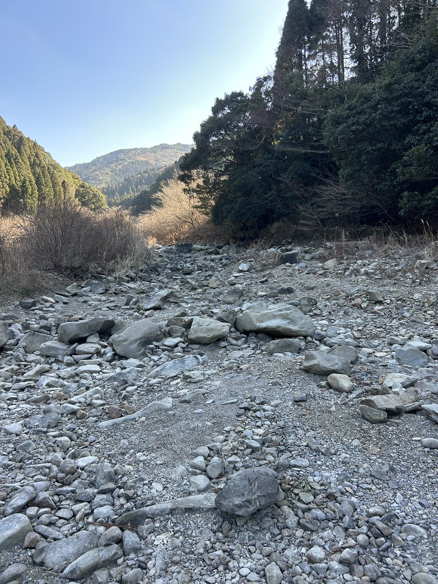 あざらし☆ tweet media