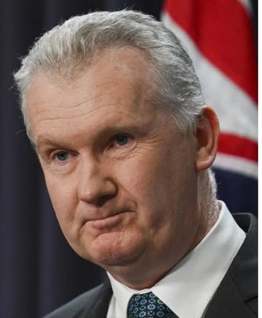 Australian Patriot. tweet media