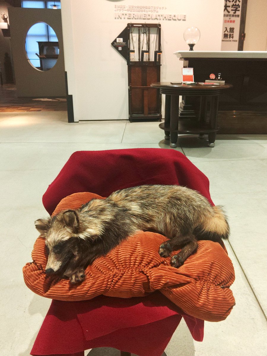 インターメディアテク tweet media