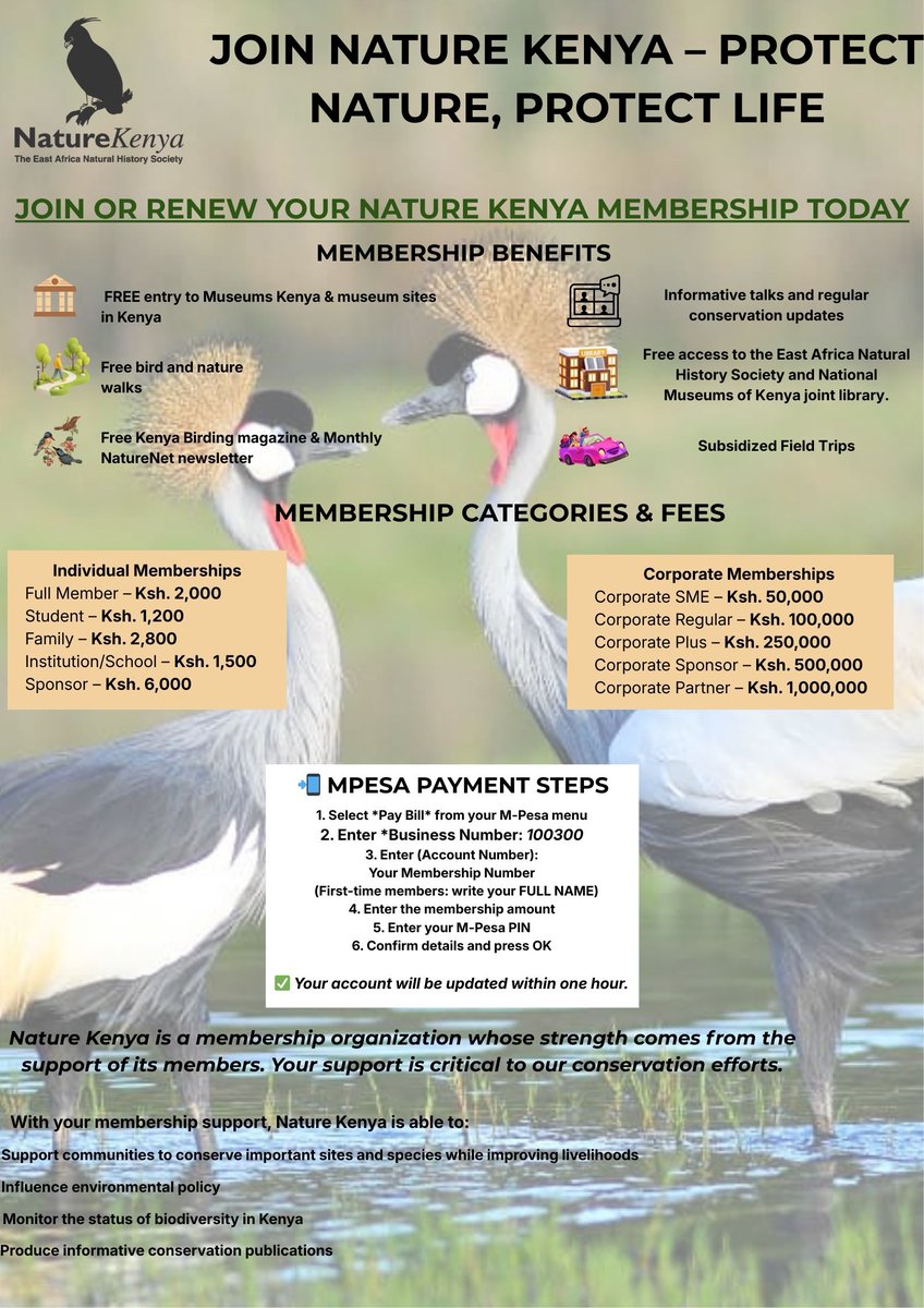 Nature_Kenya's tweet image. Join the Nature Movement!
Birdwalks, field trips, exclusive insights—plus, you help protect Kenya’s incredible biodiversity. 🌱🐦
#JoinNatureKenya #NatureWarriors #NaturePower #BirdwatchingKenya