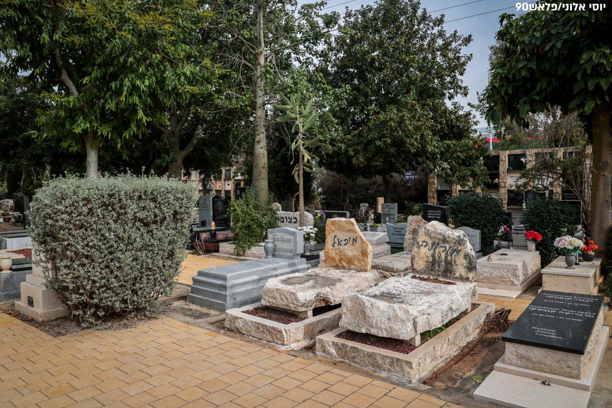 טוביה יגלניק tweet media