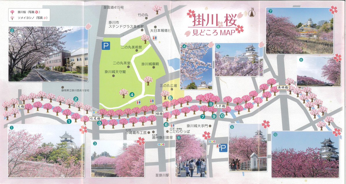 【掛川観光協会】
🌸#掛川桜 の #ライトアップ が始まります🌸
掛川城下の掛川桜は小さな蕾がつき始めています♪まだ少し早いですが、土曜日よりライトアップが始まります。
今年の掛川桜の見ごろは、3月上～中旬の予想です🌸
ぜひ、春の特別なひとときをお楽しみください😊
kakegawa-kankou.com/news/24303/