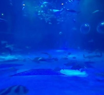 HarbingerTech's tweet image. 先生に使う 🧭