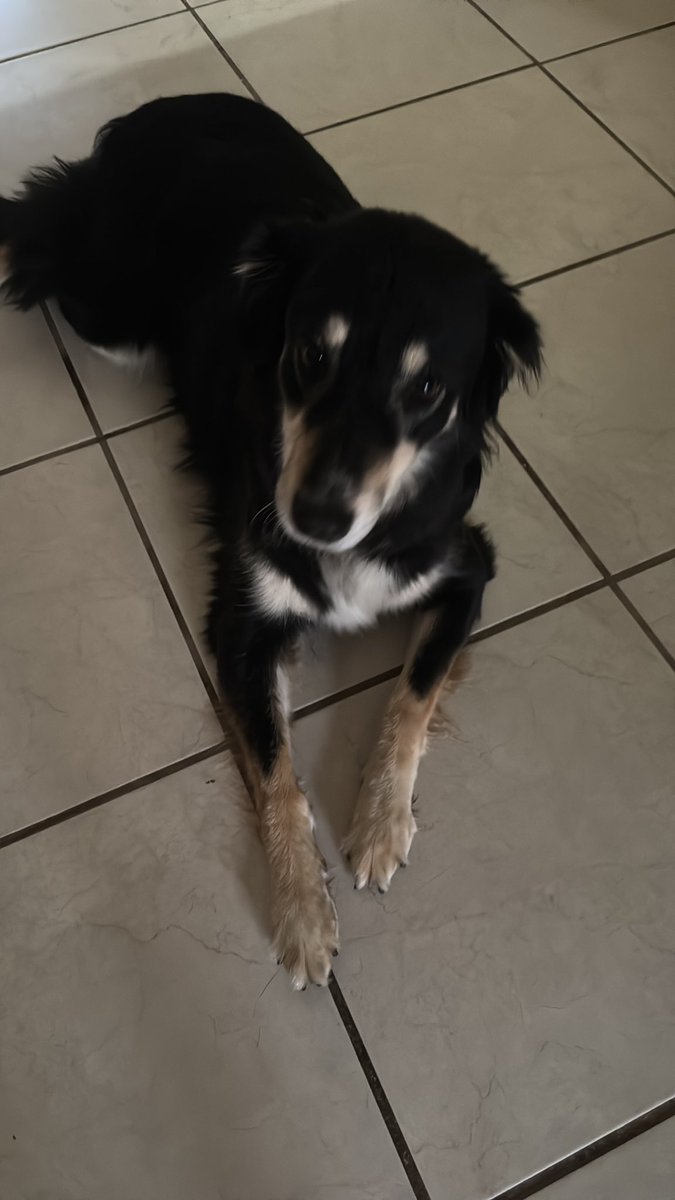 ִ ࣪ ˖ tweet media