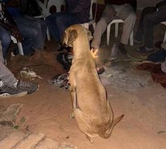 Niko hapa nasubiri wadrop food for their ancestors so that I can eat on their behalf 😅😅😅