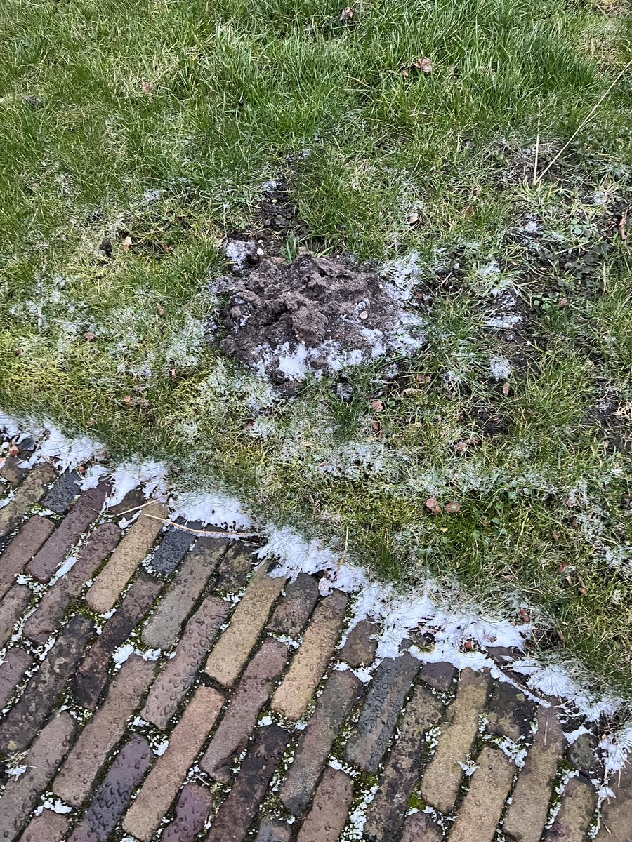 Dus vanwege deze extreme weersomstandigheden is onze vlucht naar Londen geannuleerd <a href="/easyJet/">easyJet</a> ? Omboeken naar de volgende maakte het ticket 250% duurder! Schaam je kapot, <a href="/easyJet/">easyJet</a>, weekend en veel geld weg!