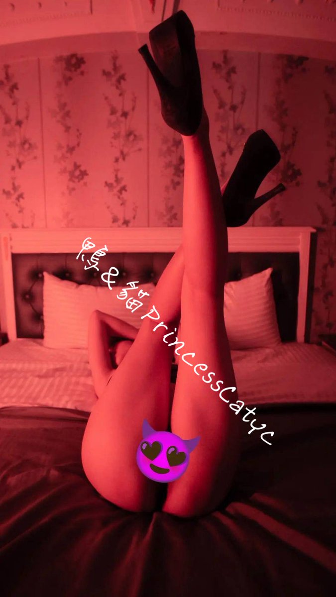 貓&鴨@桃園 tweet media