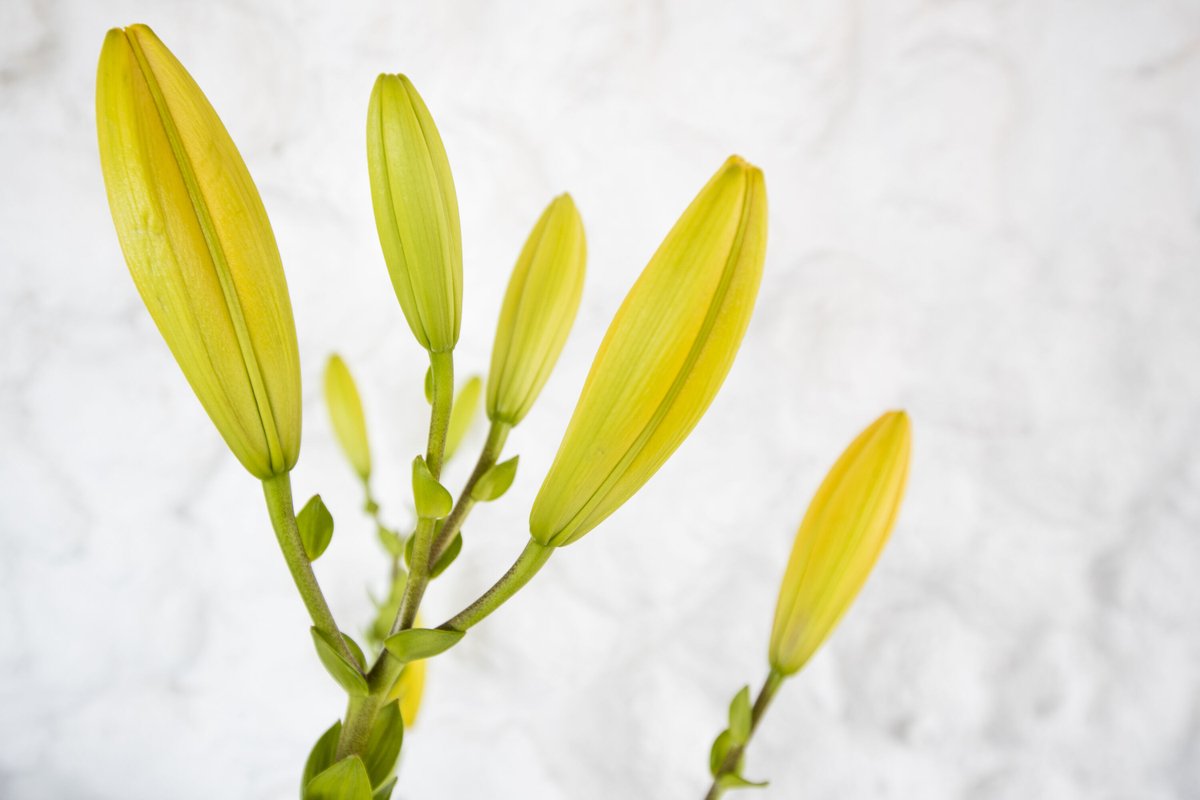 Innovaxiom tweet media