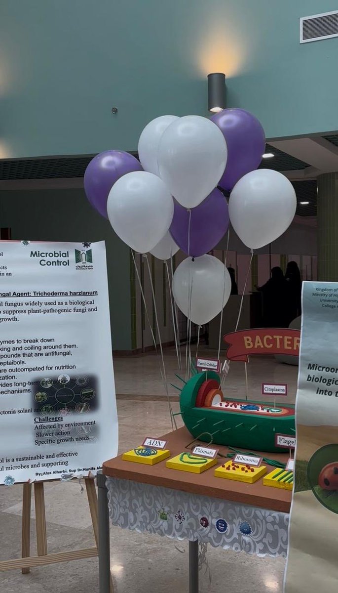 فعاليات جامعة تبوك tweet media